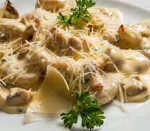 Funghi