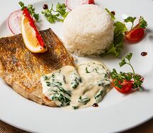 Sudak Espinaci