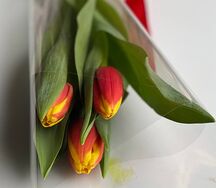 Букет тюльпанов 3 шт на 8 марта