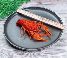 Раки севанские №4