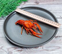 Раки севанские №3