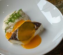 Палтус с муссом из сельдерея и манговым соусом