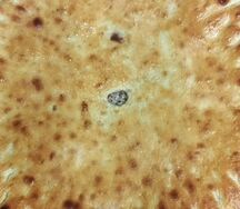 Осетинский пирог с мясом, капустой и сыром