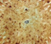 Осетинский пирог с мясом, картофелем и сыром