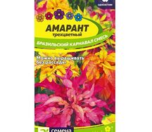 Амарант трехцветный