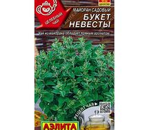 Майоран садовый букет невесты