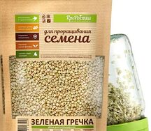 Гречка зелёная