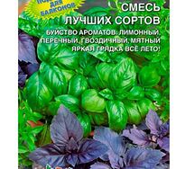 Базилик смесь лучших сортов