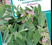 Шалфей лекарственный Кубанец