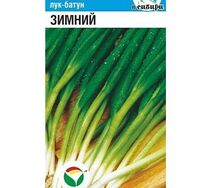 Лук-батун зимний
