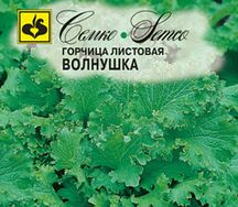 Горчица листовая волнушка