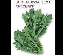 Хризантема съедобная кикубари