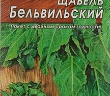 Щавель бельвильский