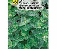Котовник лимонный Митинский семко
