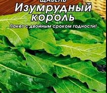 Щавель изумрудный Кароль
