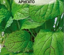 Горчица листовая аригато