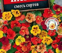 Настурция патио смесь сортов