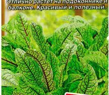 Щавель сангвиник