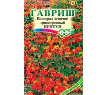 Виноград Нептун