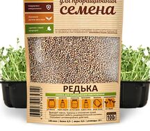 Редька