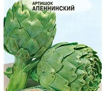 Артишок Апеннинский