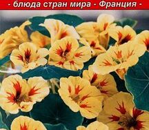 Настурция пикантный вкус