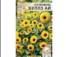 Календула булз ай