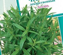 Иссоп лекарственный лекарь