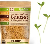 Рыжик