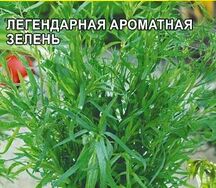 Экстрагон тархун