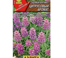 Бергамот садовый цитрусовый аромат