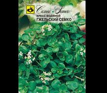 Кресс салат гжельский