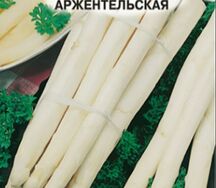 Спаржа Архангельская