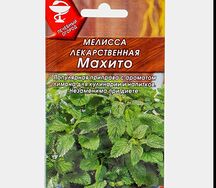 Мелисса лекарственная махито
