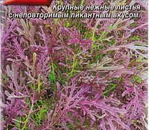 Горчица салатная чудеса в решение