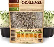 Пак чой