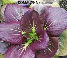 Репа листовая камацуна красная