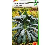 Капуста листовая Тоскана