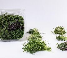 Микс энергия