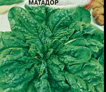 Шпинат матадор