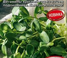 Подсолнух