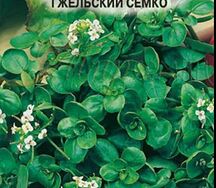 Кресс водяной Гжельский