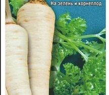 Петрушка богатырь