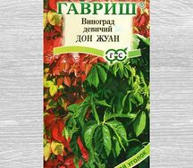 Виноград девичьей дон жуан