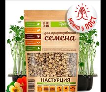 Настурция