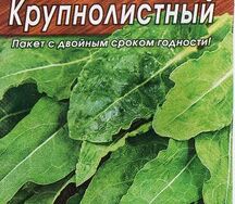 Щавель крупнолистный