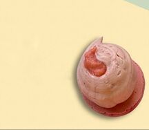 Макарон Земляничный Улун