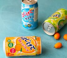 Азиатские лимонады Sangaria