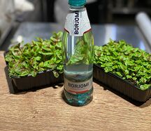 Borjomi