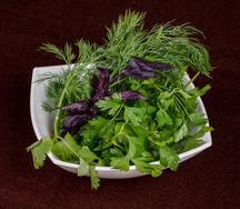 Свежая зелень